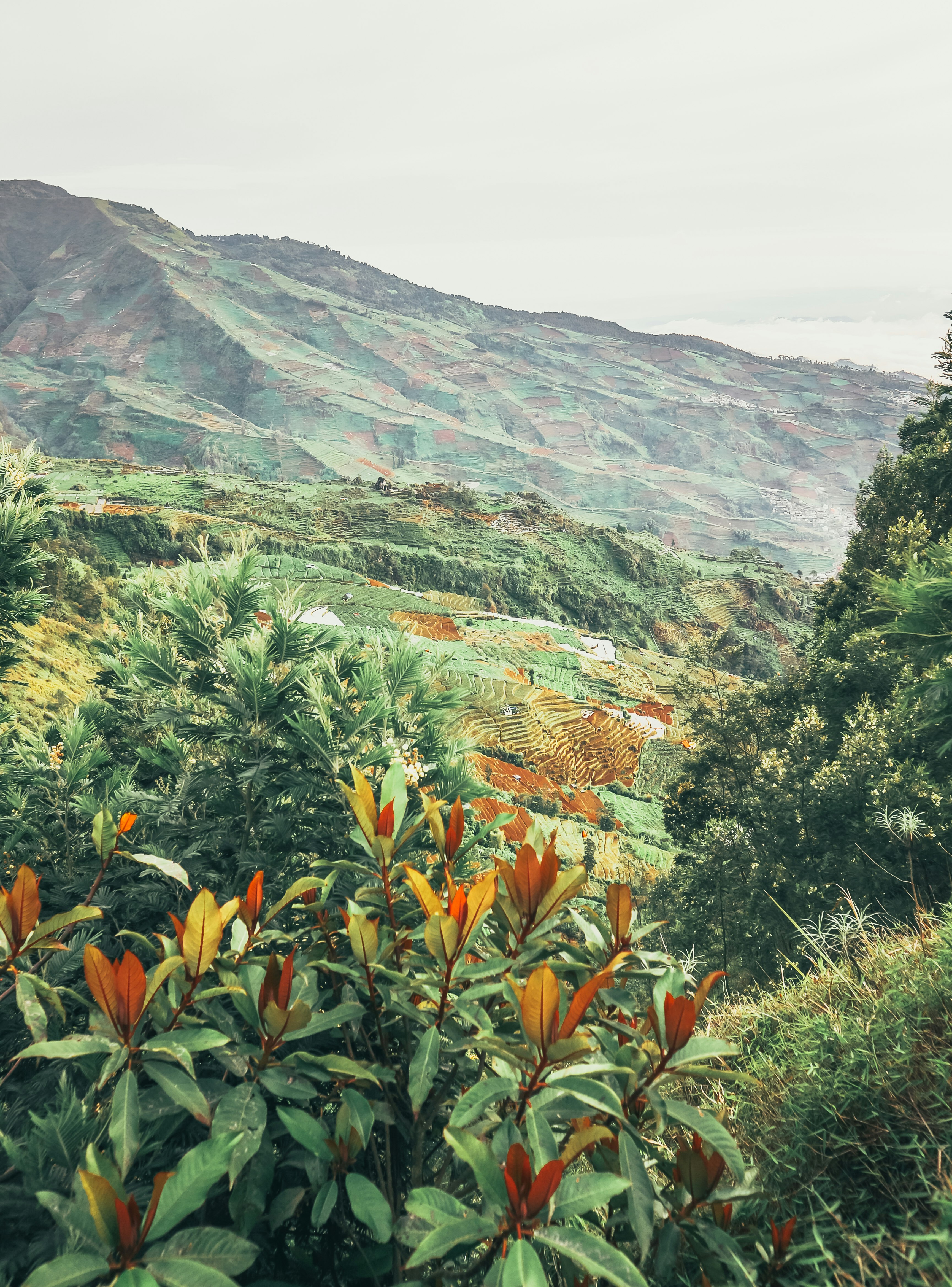 landscape photo of mountain during daytime